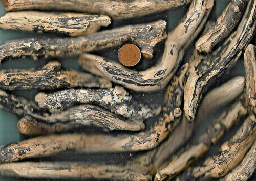 Nice marbled north - uk,