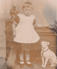 Unusual Cabinet Card Photo Child Dog Taxidermy / Statue? Herman Camberwell
