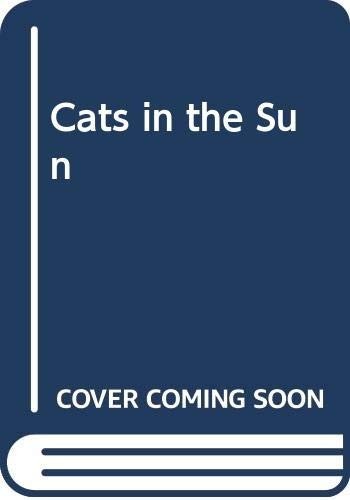 Cats the sun - cats,