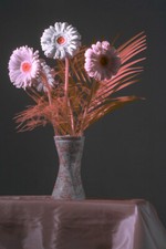 Infrared IR720 or fullspectrum