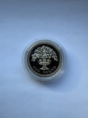 1987 english oak silver proof - 1987,