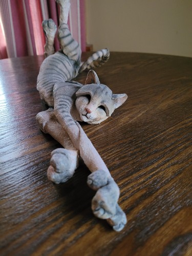 Breed apart cat - breed, large