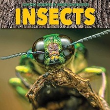 Insects (Living Things & Their Habitats), Jones, Grace