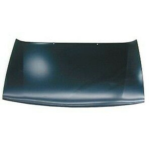 Bonnet with primer citroen - bonnet,