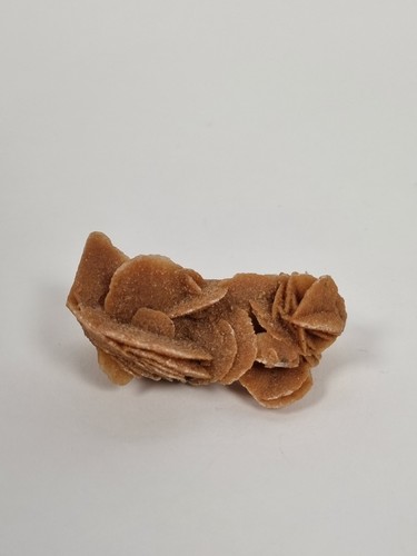 Desert rose selenite - rose,