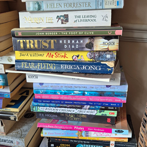 Job lot books hardback - job,