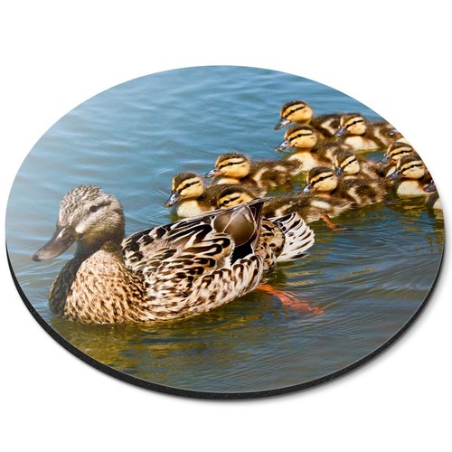 Round mouse mat mallard duck - mallard,