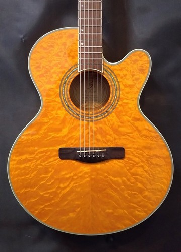 Samick greg bennett design - samick,