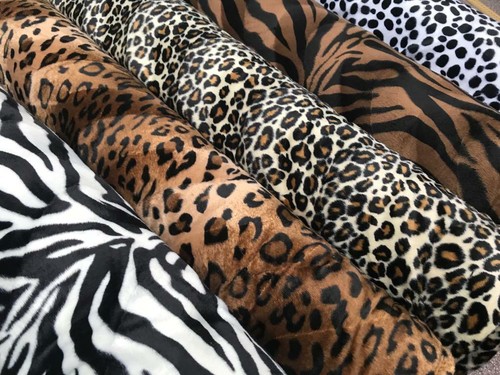 Zebra leopard dalmation tiger