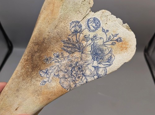 Decorated cow scapula - decorated,