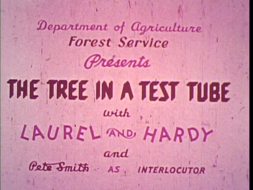 16mm sound tree a - in, test