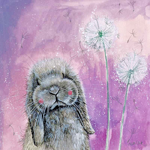 Alex clark greetings card - alex,