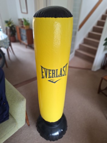 Everlast power tower - everlast,
