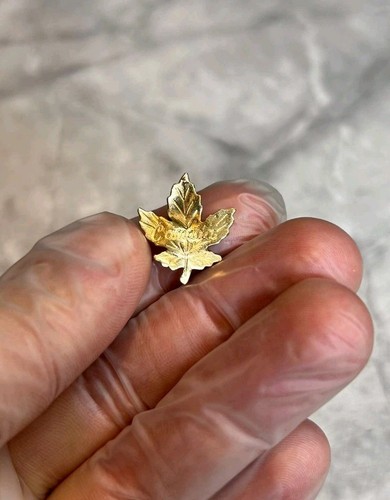 Golden canada maple - maple, leaf