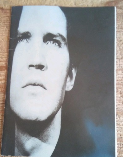 Lloyd cole the commotions - &,