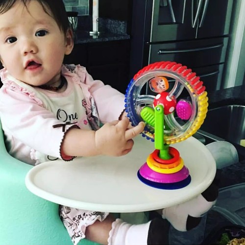 Baby rattle toy suction cup - suction,