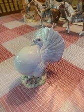 BESWICK   RARE FANTAIL PIGEON  MINT CONDITION