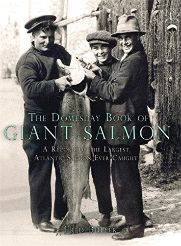 The domesday book giant - domesday,