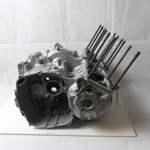 Yamaha fzr 1000 engine cases - yamaha,