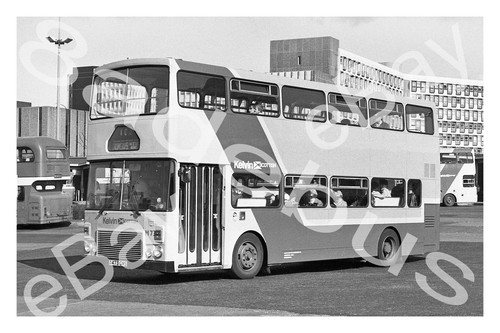 Bus photograph kelvin - photograph,