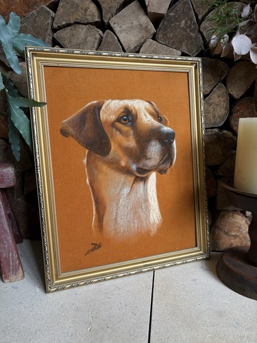 Vintage 70s rhodesian - vintage,