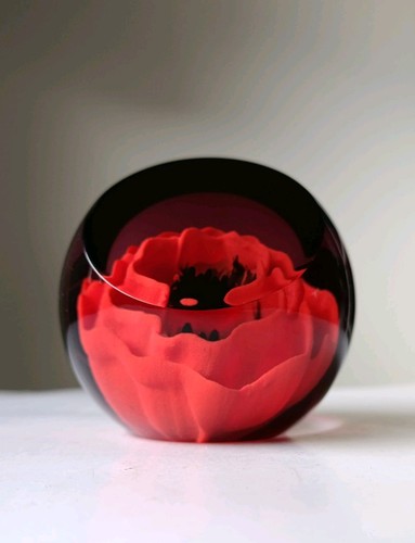 Remembrance poppy caithness - remembrance,