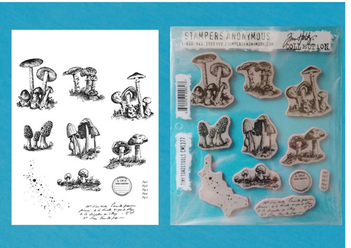 Tiny toadstools cms377 tim - tiny,