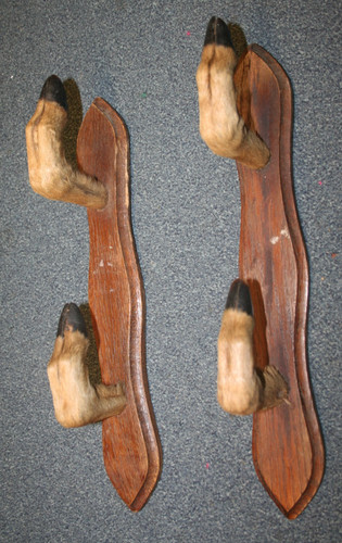 Whip crop rack with deer - with, foot
