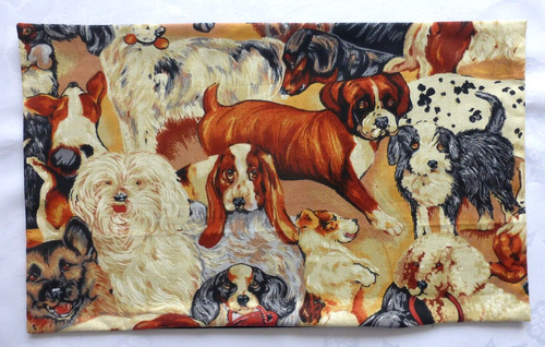 Dogs jack russell - dogs,