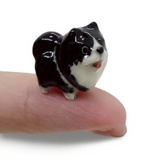 ½ Inch Black White Pomeranian