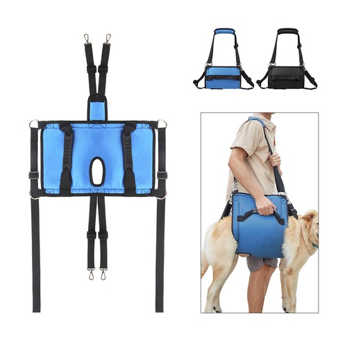 Dog lift carry torso - lift,
