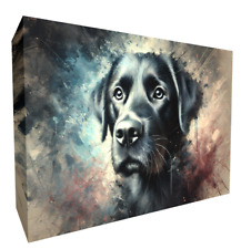 Black Labrador Retriever Dog