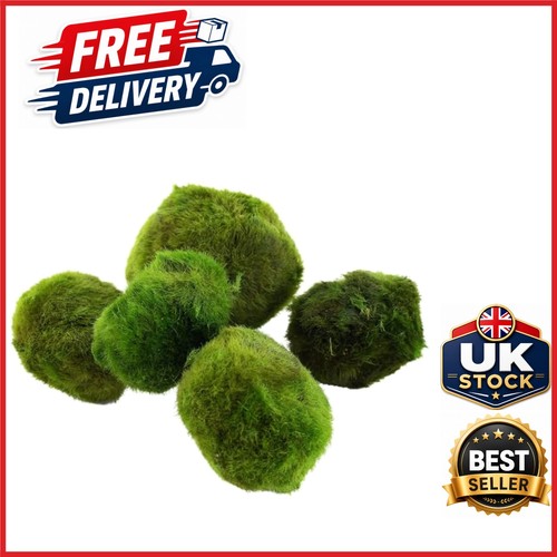 Nano moss ball marimo - moss,