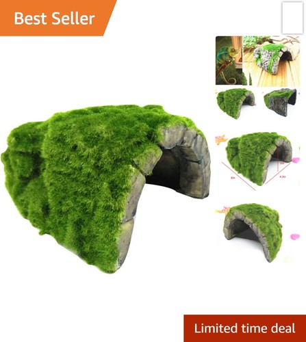 Reptile hide cave habitat - reptile,