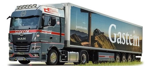 Herpa 954822 man - herpa, tgx