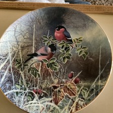 BULLFINCHES COALPORT BIRD COLLECTORS PLATE FROM THE SERIES FROSTY MORNINGS LTD