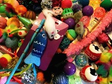 Bulk Buy 20 x Cat Kitten Toys Bundle Fur Mice Fish Rattle Balls Crinkle Catnip