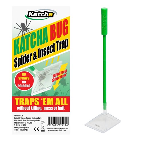 Katcha daddy longlegs crane - longlegs,