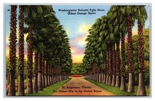 St Augustine Florida