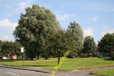 Photo A1 Kirkholt:  Small