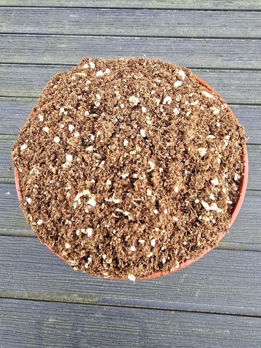 10lt sphagnum moss peat and - 10lt,