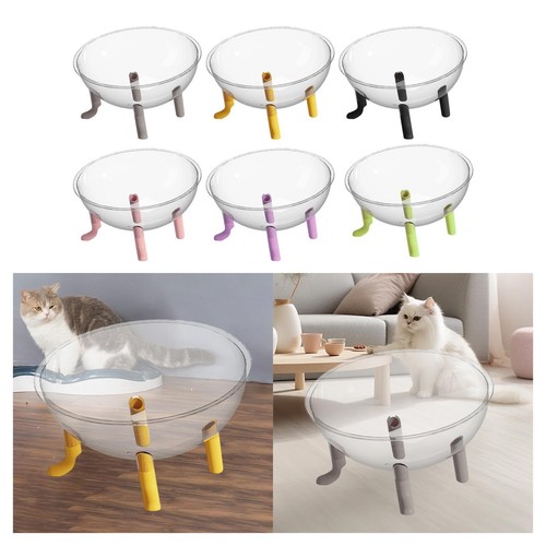 Space capsule acrylic cat - space,