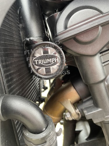Triumph trident 660 frame bung - trident,