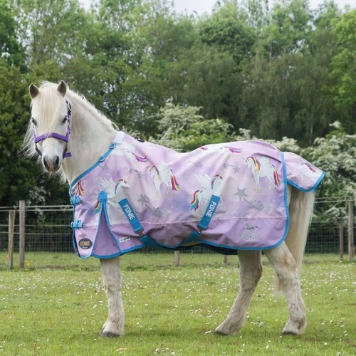 Gallop ponie pegacorn - gallop, 'pegacorn'