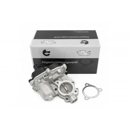 Egr valve for - valve,