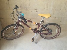 Raleigh Pop 20" Children's Bike 6 Gears