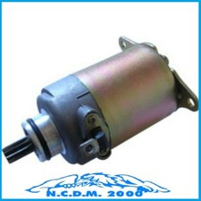 Starter Motor 1781157 SYM