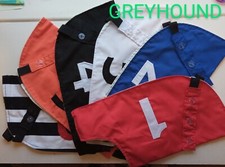 GREYHOUND & WHIPPET Racing