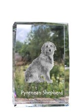 Pyrenean mountain dog - mountain,