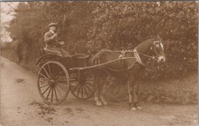 Horse Transport Postcard -